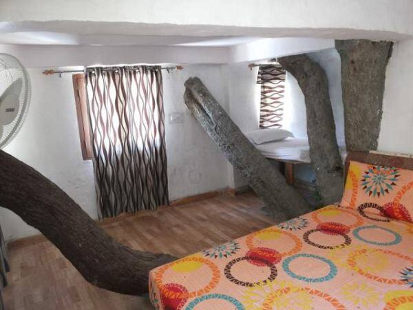 Junglee Resort  Rajaji National Park, Rishikesh 5